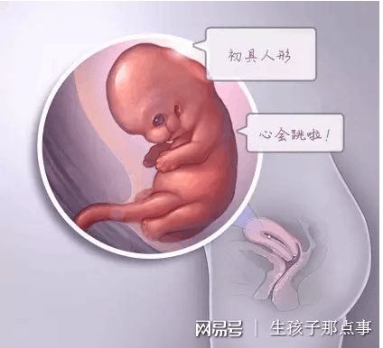 三代试管供卵生男孩门诊